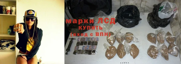 стаф Аркадак