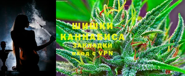 тгк Арсеньев