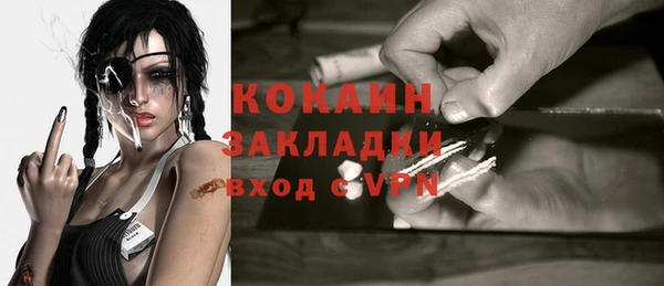 стаф Аркадак