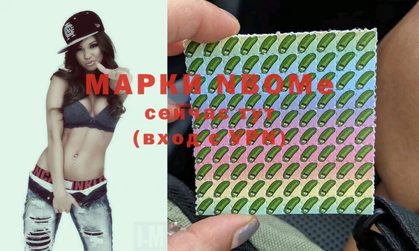 стаф Аркадак