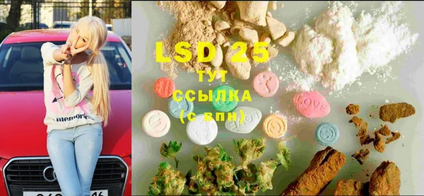 стаф Аркадак