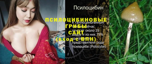 тгк Арсеньев