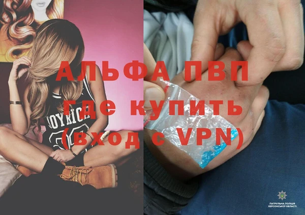 амф Пересвет
