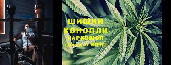тгк Арсеньев