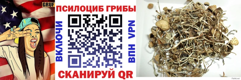 Галлюциногенные грибы Magic Shrooms  kraken вход  Петровск  что такое  