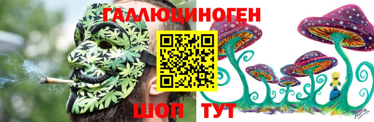 Псилоцибиновые грибы мицелий  Галлюциногенные грибы MAGIC MUSHROOMS  Петровск  Вход с VPN 