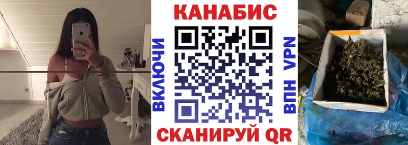 Бошки Шишки планчик Петровск